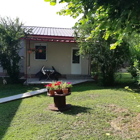 Pinikot Appartement Dojran